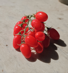 Artificial cherry tomatoes