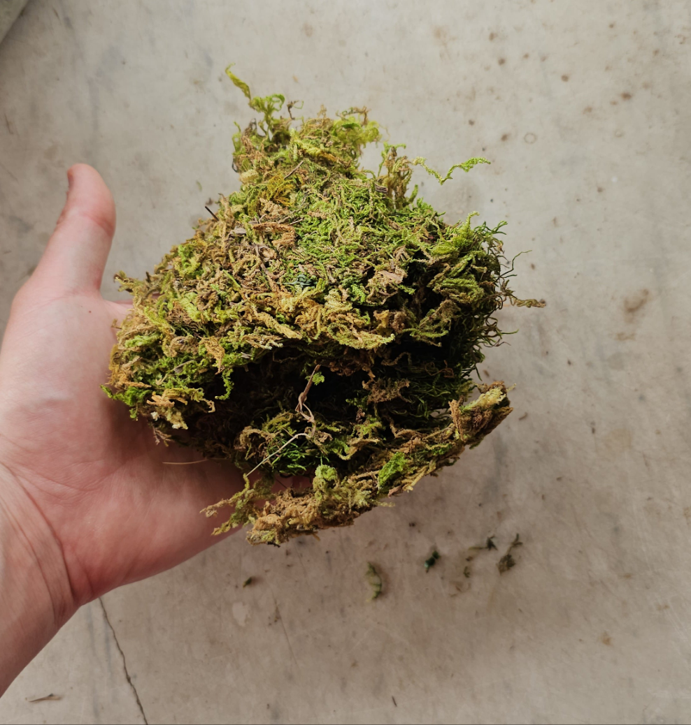 Artificial moss
