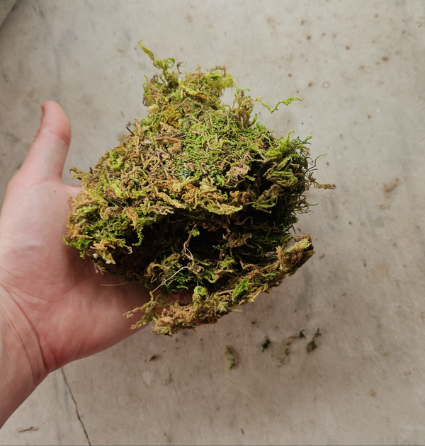 Artificial moss