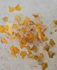 Artificial ivy tendrils