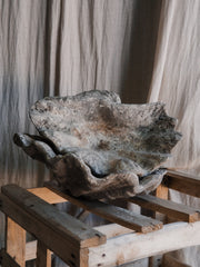 TERRACOTTA SHELL POTS