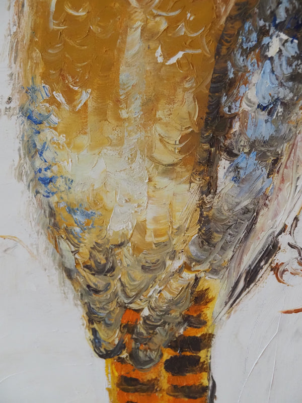 'Kookaburra 1'