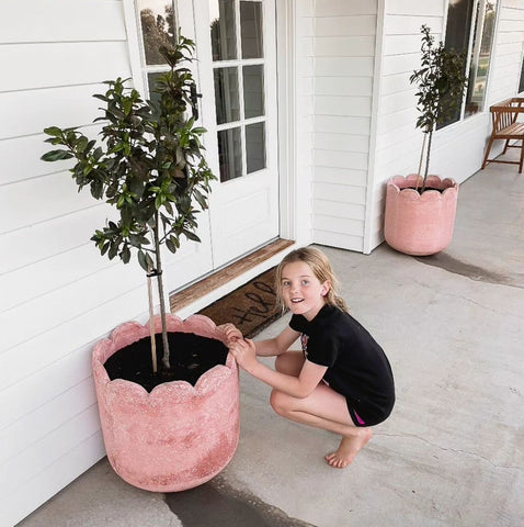 Clover pot - peachy pink PICK UP ONLY