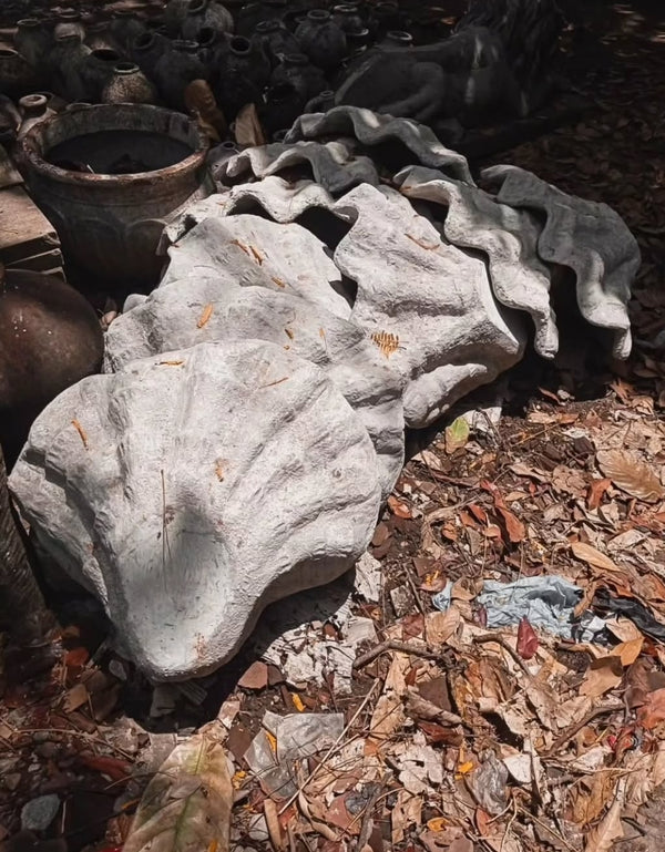 TERRACOTTA SHELL POTS
