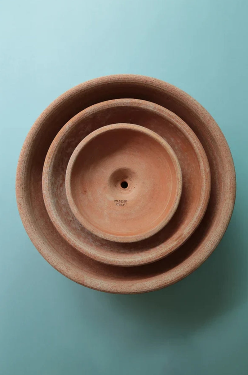 Ada Bowl and Saucer - Rosa