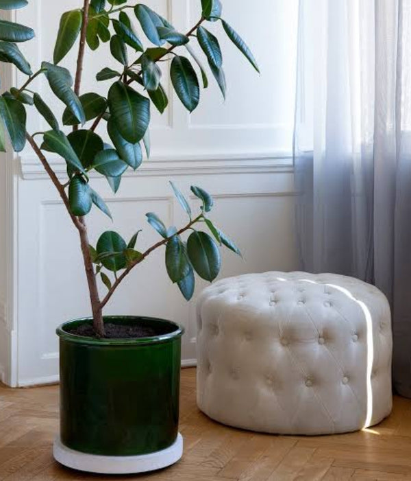 Modena glazed pot
