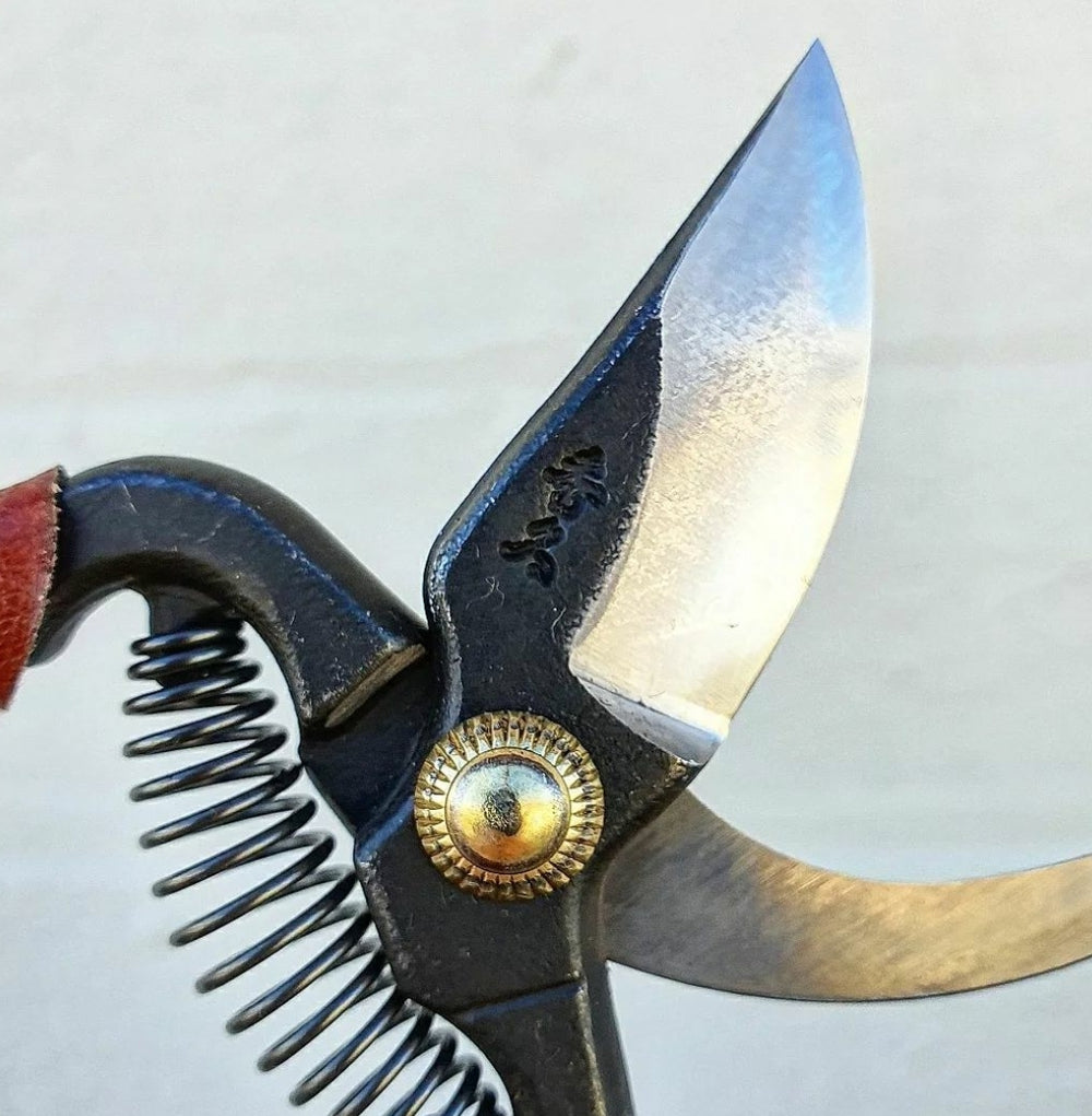 Mini Leather Handled Pruning Shears T32