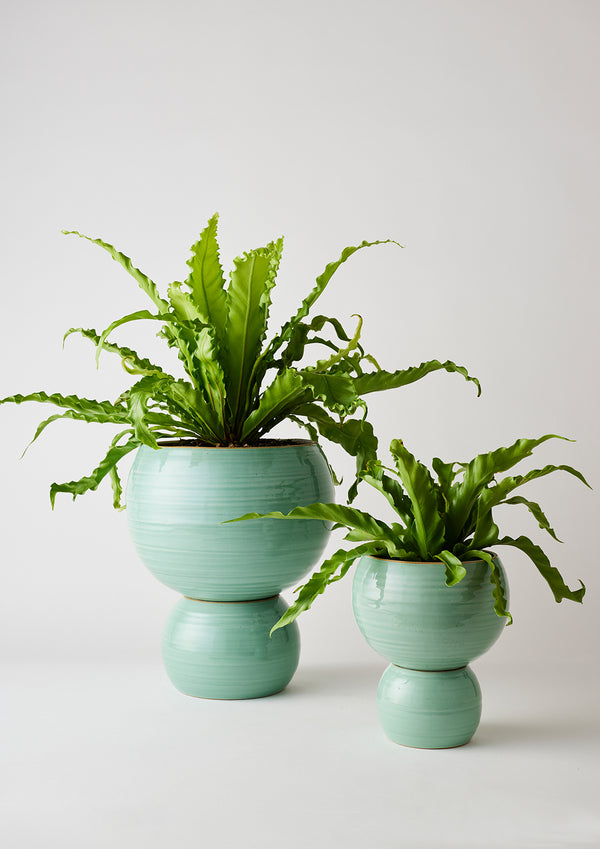 Angus and celeste spherical plant pot - SMALL GREEN
