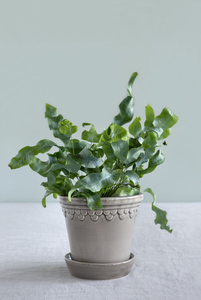 Bergs Grey 'Castle' pot