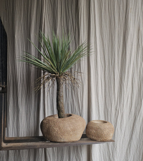 Pebble pot