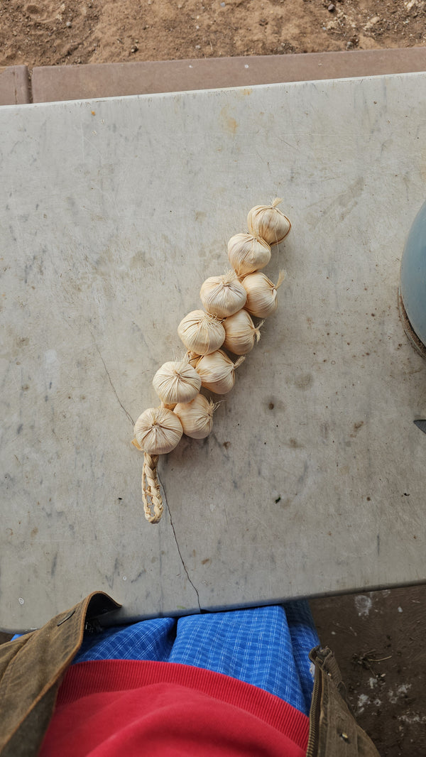 Artificial garlic