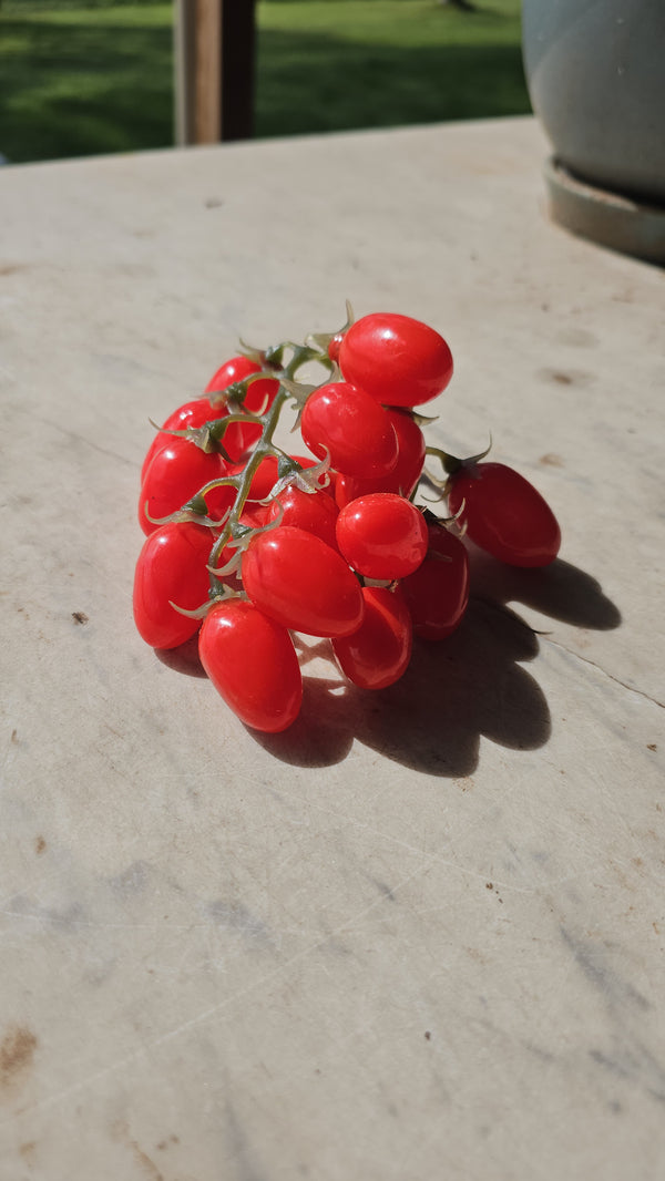 Artificial cherry tomatoes