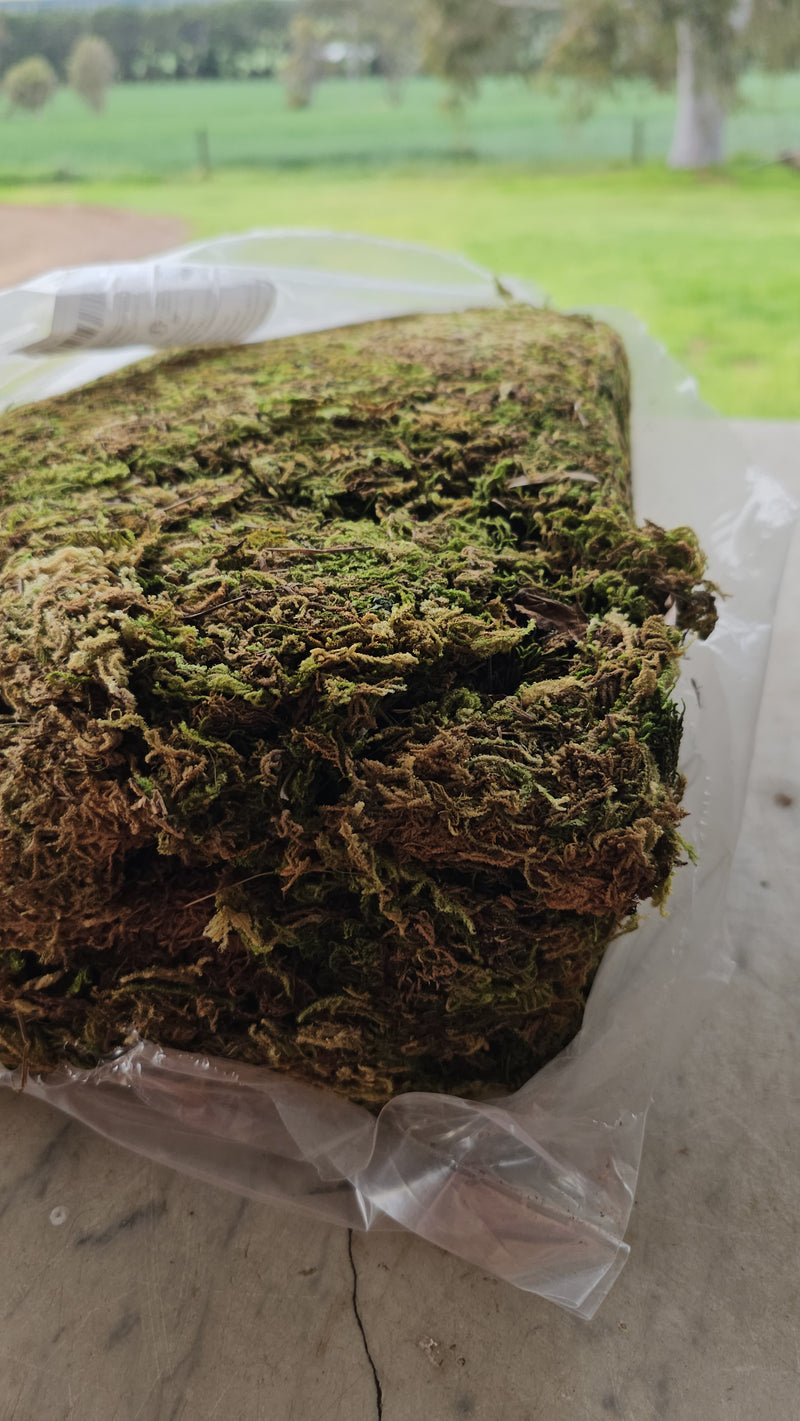 Artificial moss