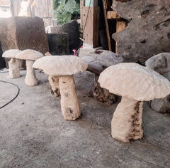 Limestone Mushrooms