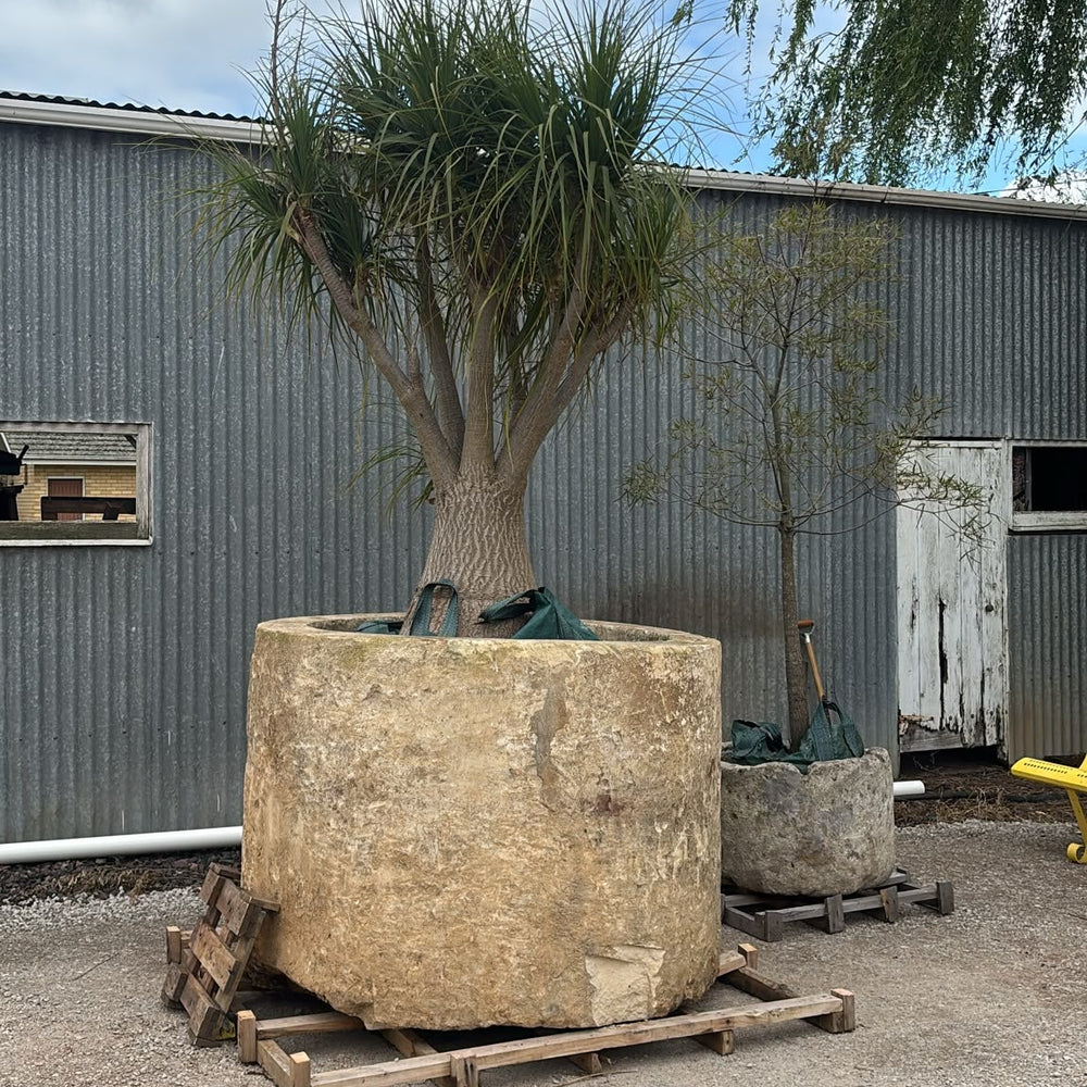 Limestone Trough F41 150x150x110