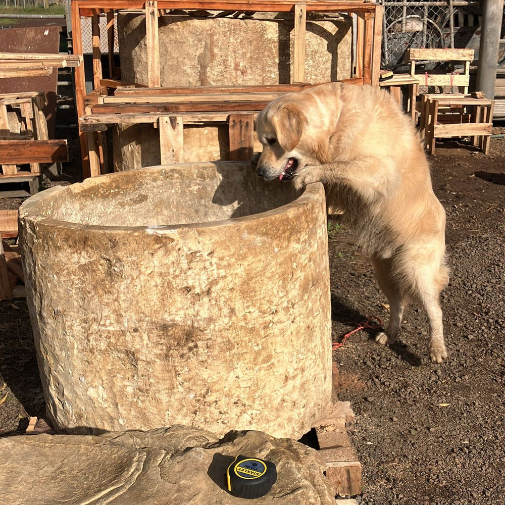Vintage Limestone Trough F5b/c