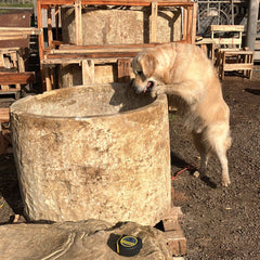 Vintage Limestone Trough F5b/c