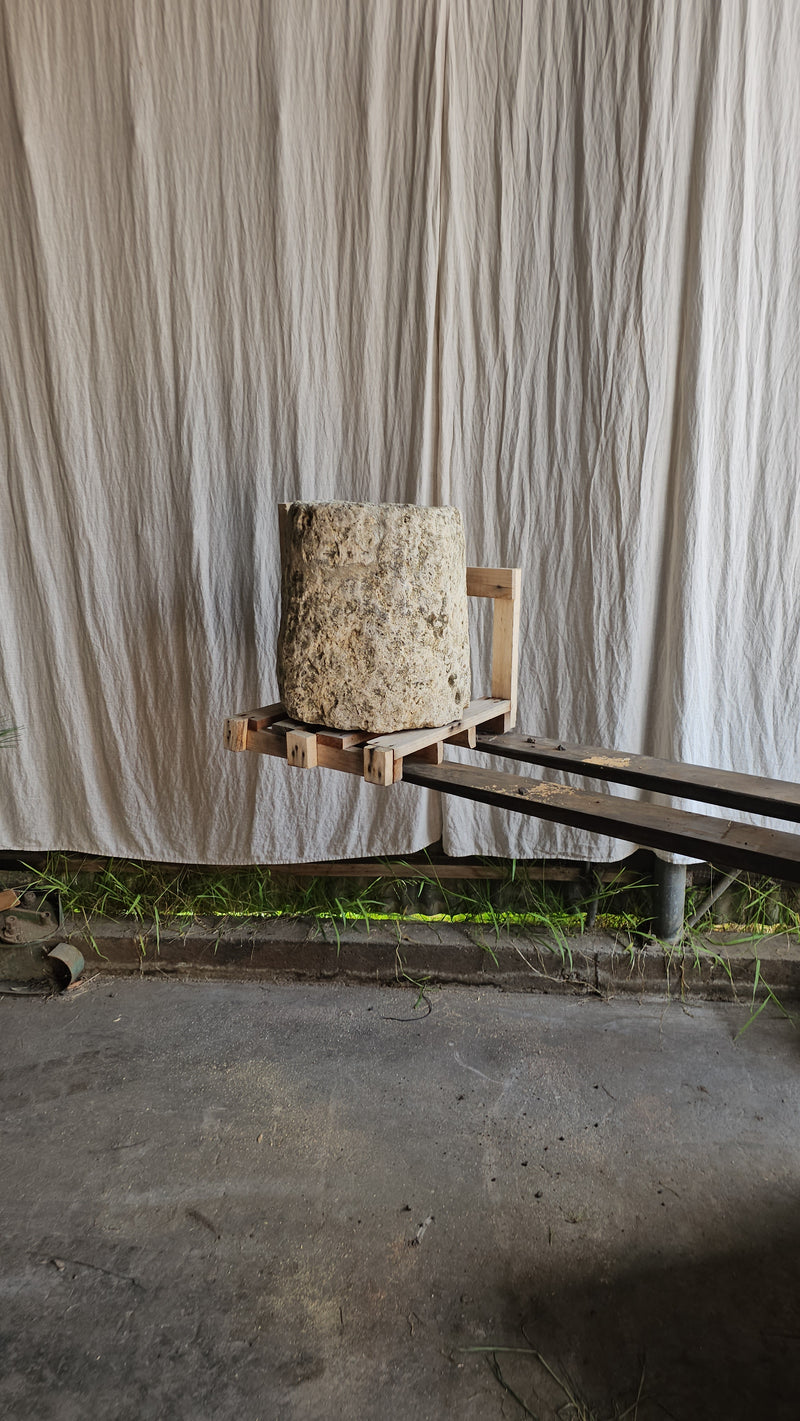 Vintage limestone trough C22 - Big Daisy