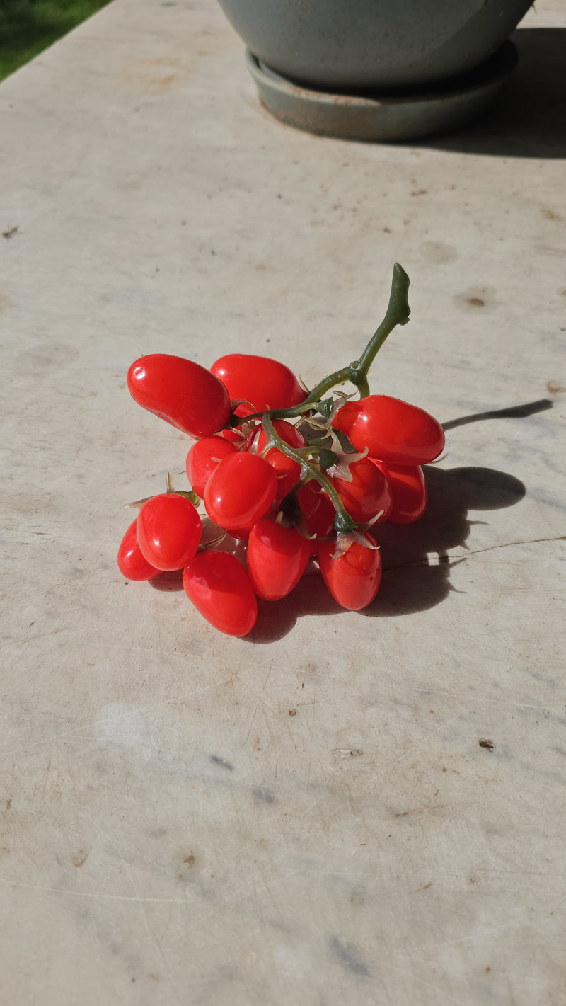 Artificial cherry tomatoes