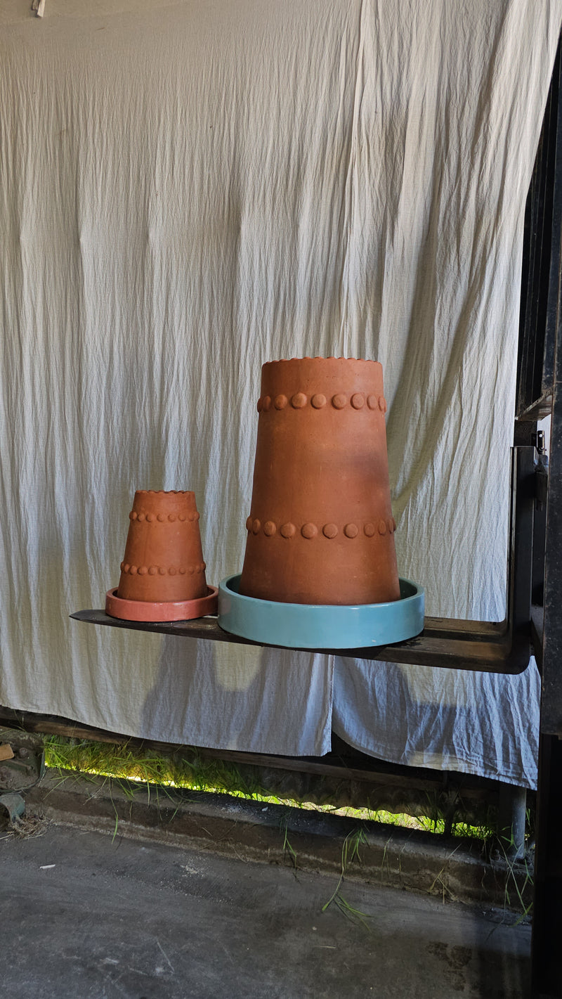Benic Pot