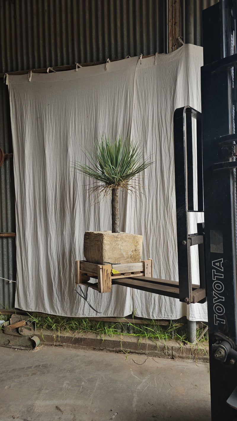 Vintage limestone trough C28