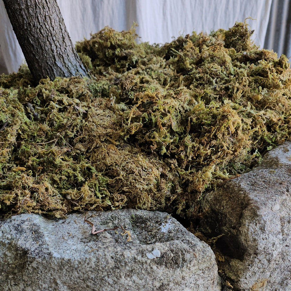 Artificial Moss