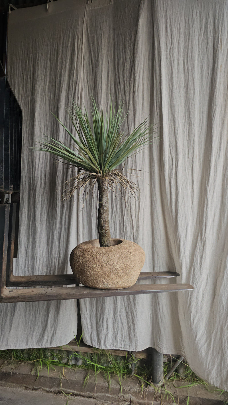 Pebble pot