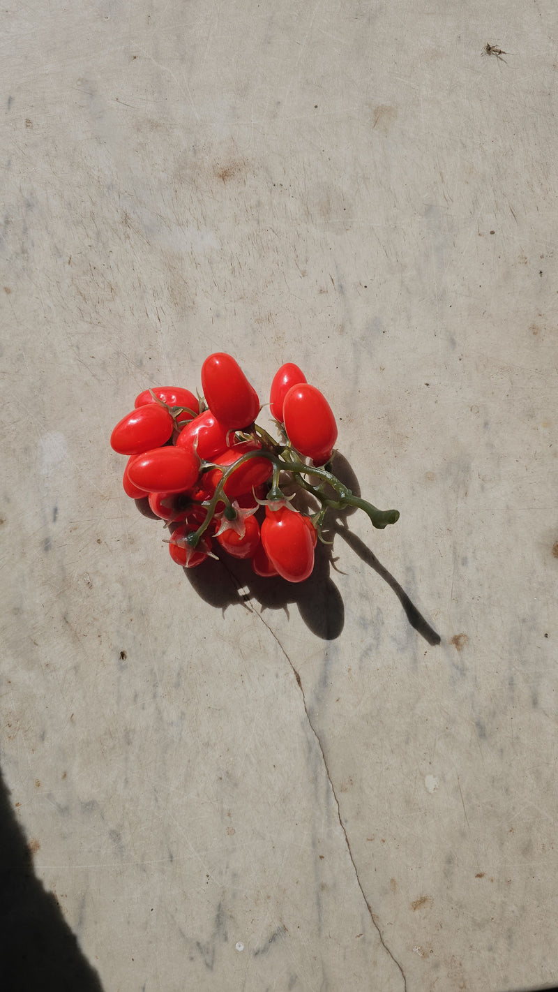 Artificial cherry tomatoes