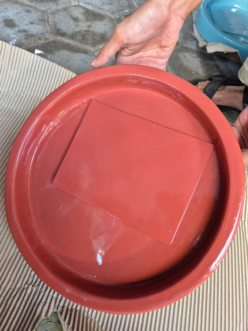 Benic Pot