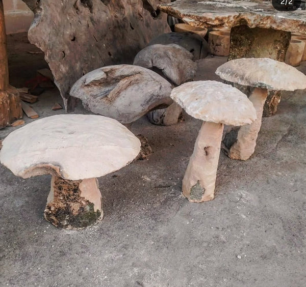 Limestone Mushrooms