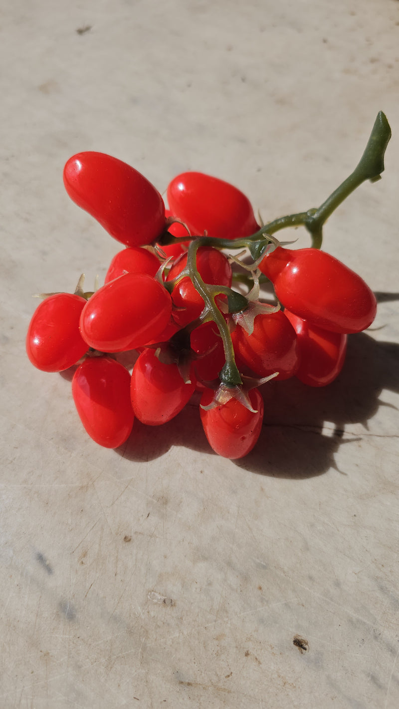 Artificial cherry tomatoes